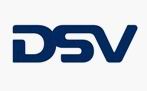 丹麦得夫得斯国际货运公司(DSV)