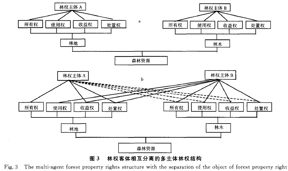Image:林权客体相互分离的多主体林权结构.jpg