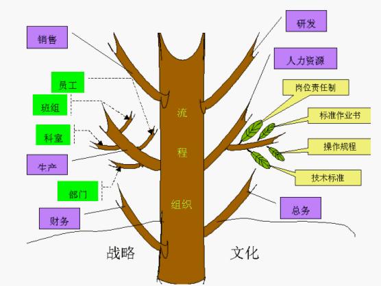 Image:大树模型1.jpg