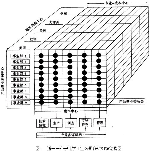 道-科宁化学工业公司多维组织结构图