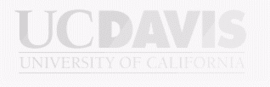 加州大学戴维斯分校（University of California-Davis Department of Arts