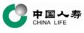 中国人寿保险（集团）公司(China Life)