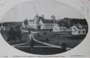 康涅狄格大学(1903年)