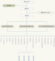 阳光保险集团的组织架构