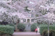 华盛顿大学校园