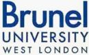 布鲁内尔大学（Brunel University）