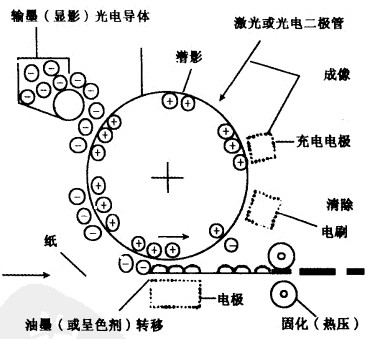 Image:静电印刷基本过程.jpg