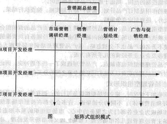 旅游市场营销组织—矩阵式组织模式