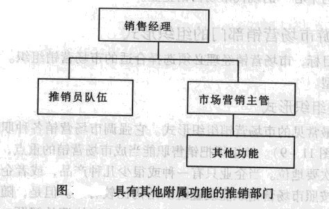 旅游市场营销组织—具有其他附属功能的推销部门