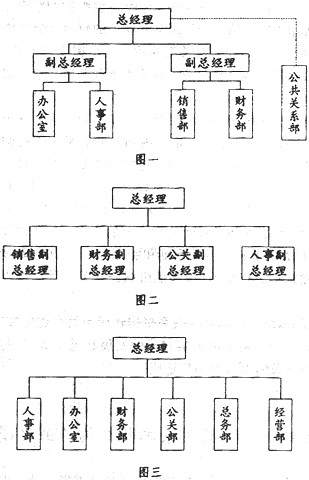 Image:组织最高领导直接负责型.jpg