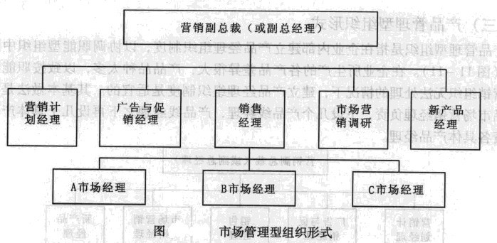 旅游市场营销组织—市场管理型组织形式