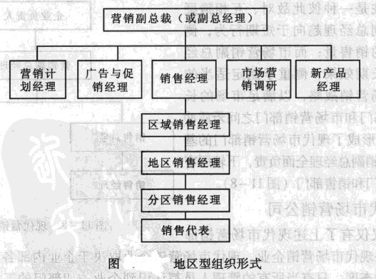 旅游市场营销组织—地区型组织形式