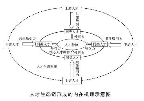 Image:人才生态链形成的内在机理示意图.jpg