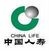 中国人寿保险股份有限公司（China Life Insurance Company Limited)