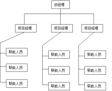 线型组织结构图片