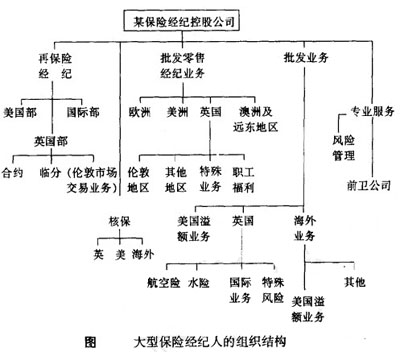 Image:大型保险经纪人的组织结构图.jpg