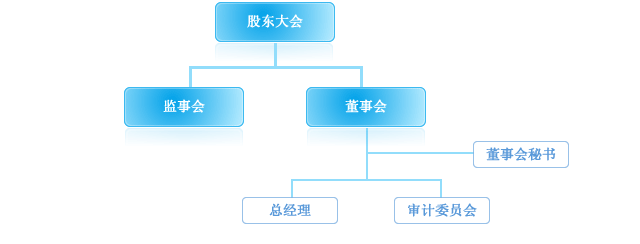 Image:中达公司内部治理结构图.gif