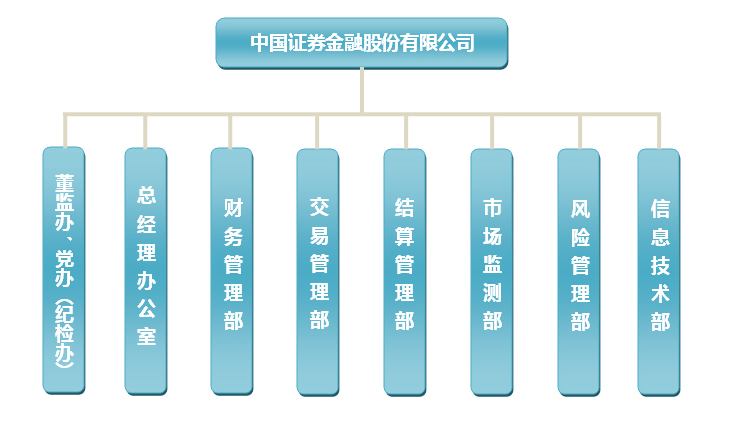 Image:中国证券金融股份有限公司.png