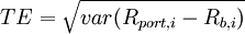 TE=\sqrt{var(R_{port,i}-R_{b,i})}