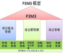 P3M3模型