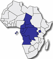 中部非洲国家经济共同体