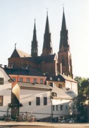 The cathedral,seen from the city center