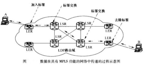 数据在具有MPLS功能的网络中传递的过程示意图