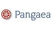 新加坡磐石基金公司(Pangaea Capital Management)