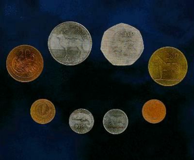 爱尔兰镑的铸币